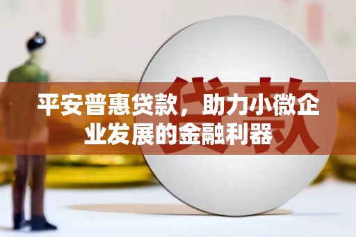 西海岸平安普惠贷款，助力小微企业发展的金融利器