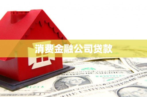 西海岸消费金融公司贷款