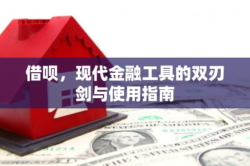 西海岸借呗，现代金融工具的双刃剑与使用指南