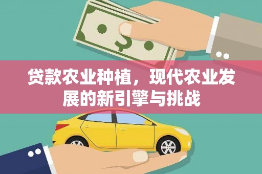 西海岸贷款农业种植，现代农业发展的新引擎与挑战