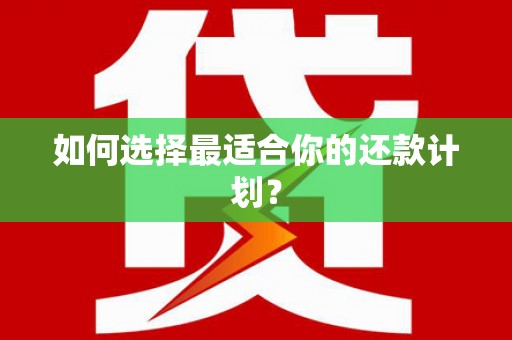 西海岸如何选择最适合你的还款计划？