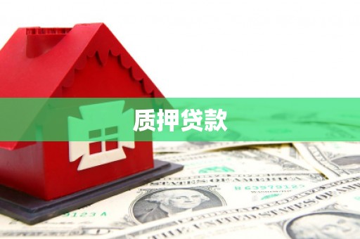 西海岸质押贷款