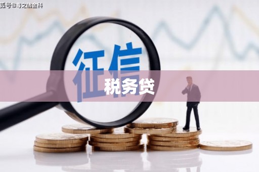 西海岸税务贷