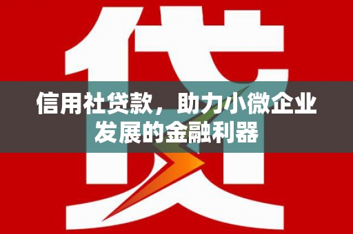 西海岸信用社贷款，助力小微企业发展的金融利器