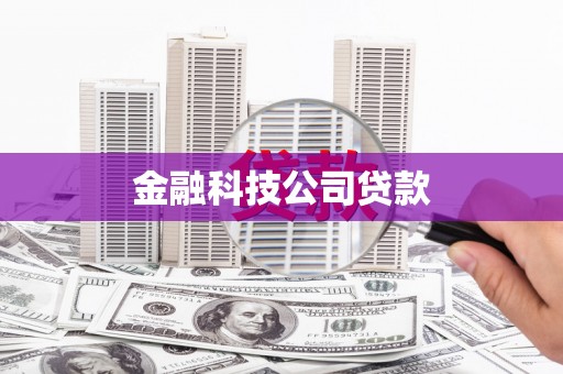 西海岸金融科技公司贷款