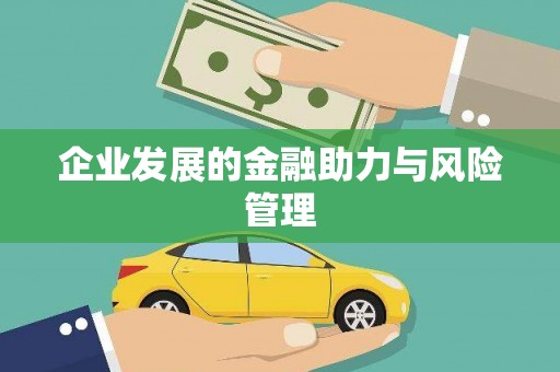 西海岸企业发展的金融助力与风险管理