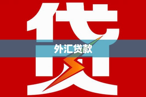 西海岸外汇贷款