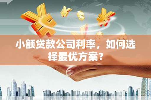 西海岸小额贷款公司利率，如何选择最优方案？