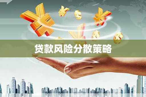 西海岸贷款风险分散策略
