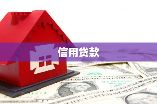 西海岸信用贷款