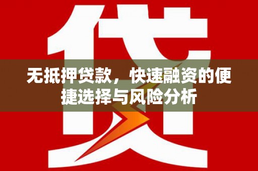西海岸无抵押贷款，快速融资的便捷选择与风险分析