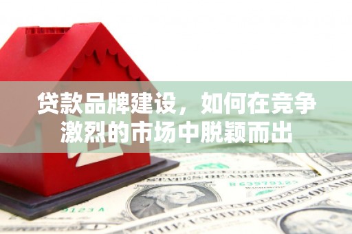 西海岸贷款品牌建设，如何在竞争激烈的市场中脱颖而出