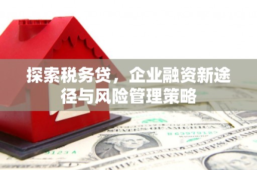 西海岸探索税务贷，企业融资新途径与风险管理策略
