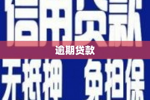 西海岸逾期贷款