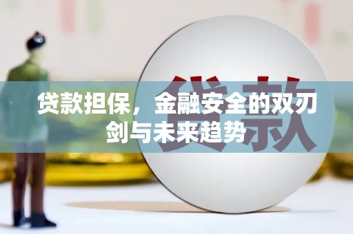 西海岸贷款担保，金融安全的双刃剑与未来趋势