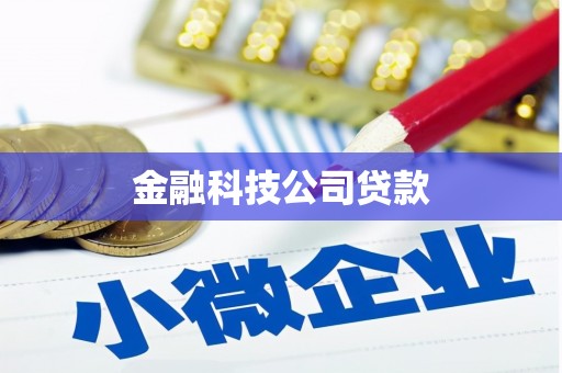 西海岸金融科技公司贷款
