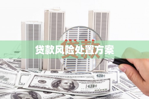 西海岸贷款风险处置方案