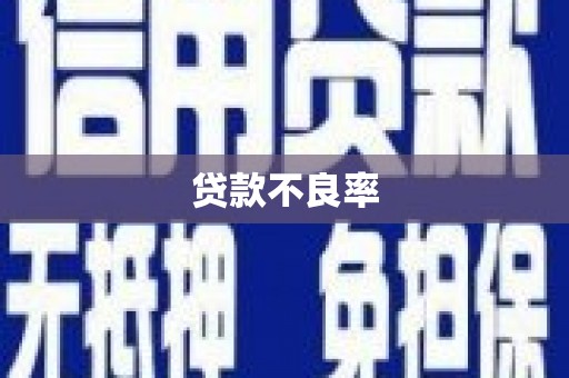西海岸贷款不良率
