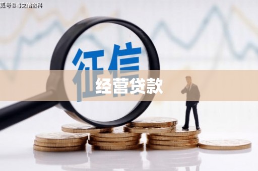 西海岸经营贷款