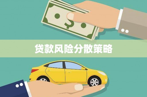 西海岸贷款风险分散策略