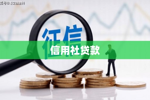 西海岸信用社贷款