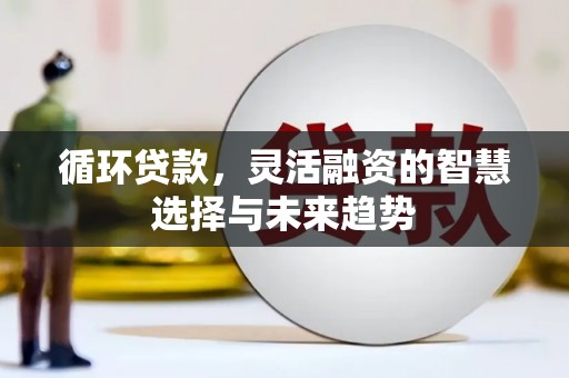 西海岸循环贷款，灵活融资的智慧选择与未来趋势