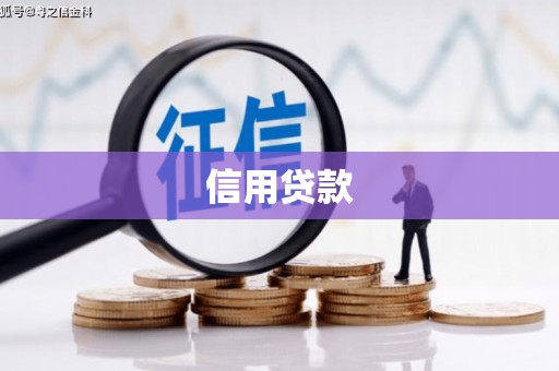西海岸信用贷款