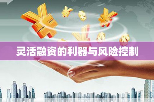 西海岸灵活融资的利器与风险控制