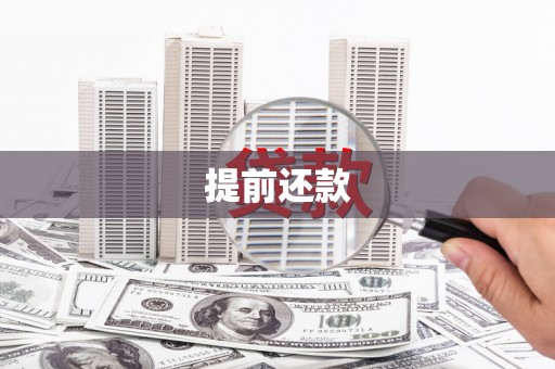 西海岸提前还款