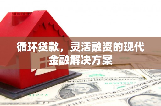 西海岸循环贷款，灵活融资的现代金融解决方案