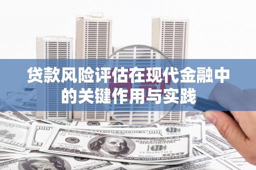 西海岸贷款风险评估在现代金融中的关键作用与实践