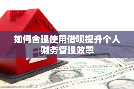 西海岸如何合理使用借呗提升个人财务管理效率