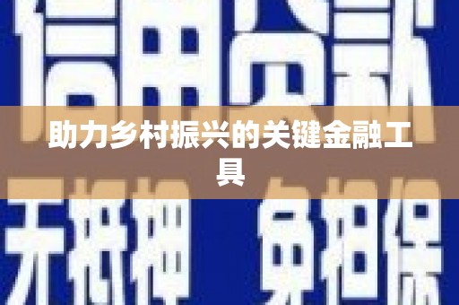 西海岸助力乡村振兴的关键金融工具