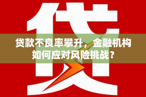 西海岸贷款不良率攀升，金融机构如何应对风险挑战？