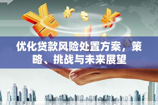 西海岸优化贷款风险处置方案，策略、挑战与未来展望