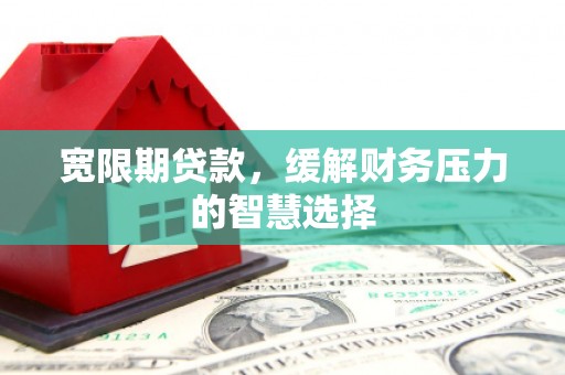 西海岸宽限期贷款，缓解财务压力的智慧选择