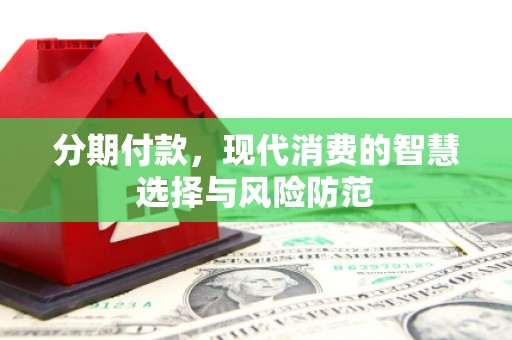 西海岸分期付款，现代消费的智慧选择与风险防范