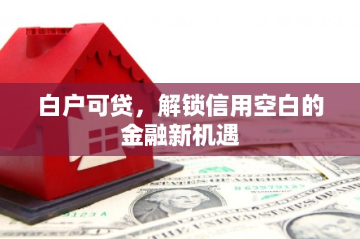西海岸白户可贷，解锁信用空白的金融新机遇