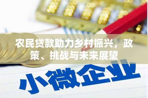 西海岸农民贷款助力乡村振兴，政策、挑战与未来展望