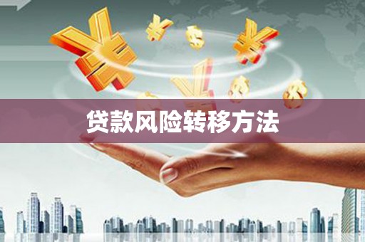 西海岸贷款风险转移方法