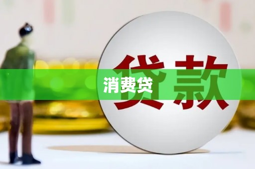 西海岸消费贷