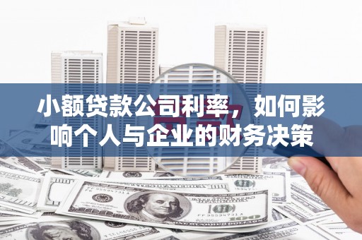 西海岸小额贷款公司利率，如何影响个人与企业的财务决策