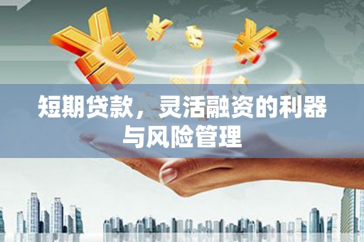 西海岸短期贷款，灵活融资的利器与风险管理