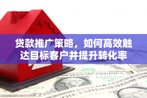 西海岸贷款推广策略，如何高效触达目标客户并提升转化率