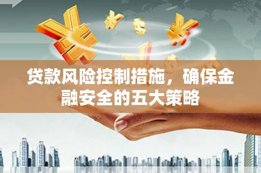 西海岸贷款风险控制措施，确保金融安全的五大策略