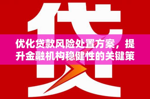 西海岸优化贷款风险处置方案，提升金融机构稳健性的关键策略