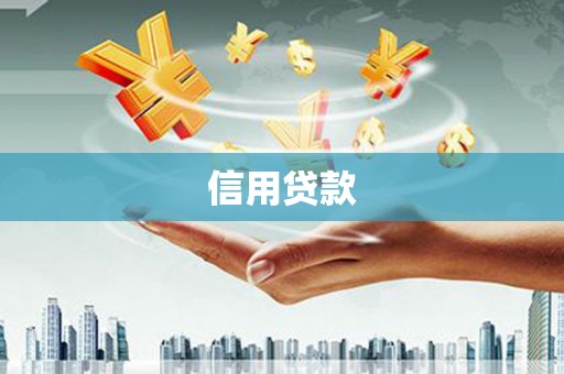 西海岸信用贷款