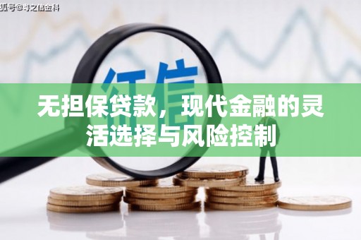 西海岸无担保贷款，现代金融的灵活选择与风险控制
