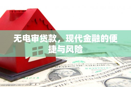 西海岸无电审贷款，现代金融的便捷与风险