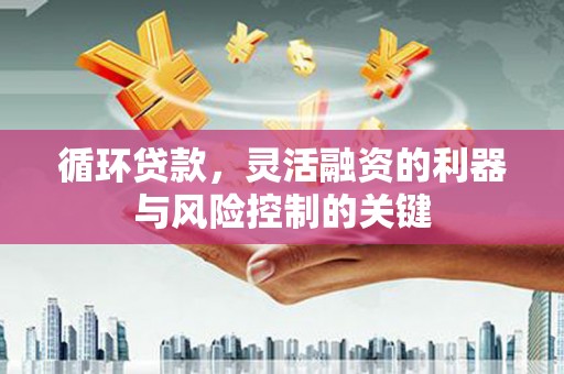 西海岸循环贷款，灵活融资的利器与风险控制的关键